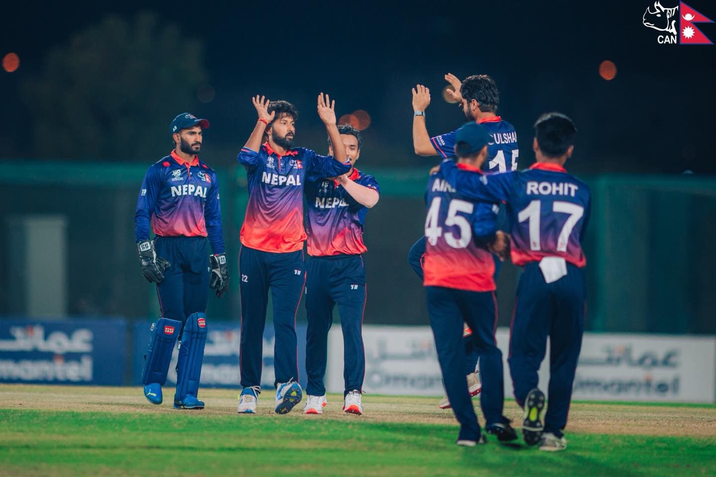 उपाधिनजिक नेपाल